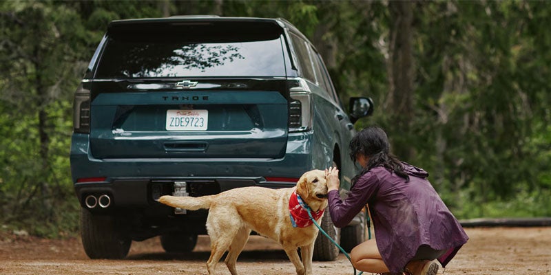 An owner and their yellow Labrador dog in front of a blue Chevrolet Tahoe.
